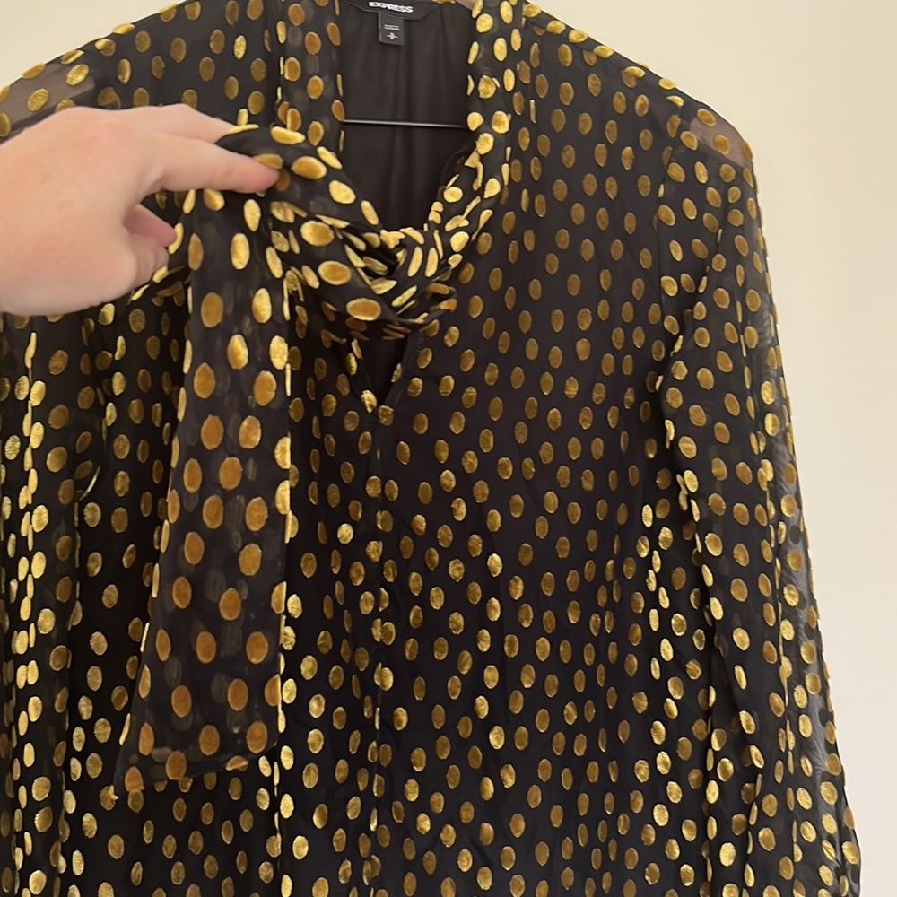 Express Long Sleeve Sheer Lined Gold Velvet Dot Blouse Size Small - Picture 7 of 11